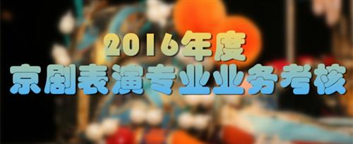 www969saohuo国家京剧院2016年度京剧表演专业业务考...